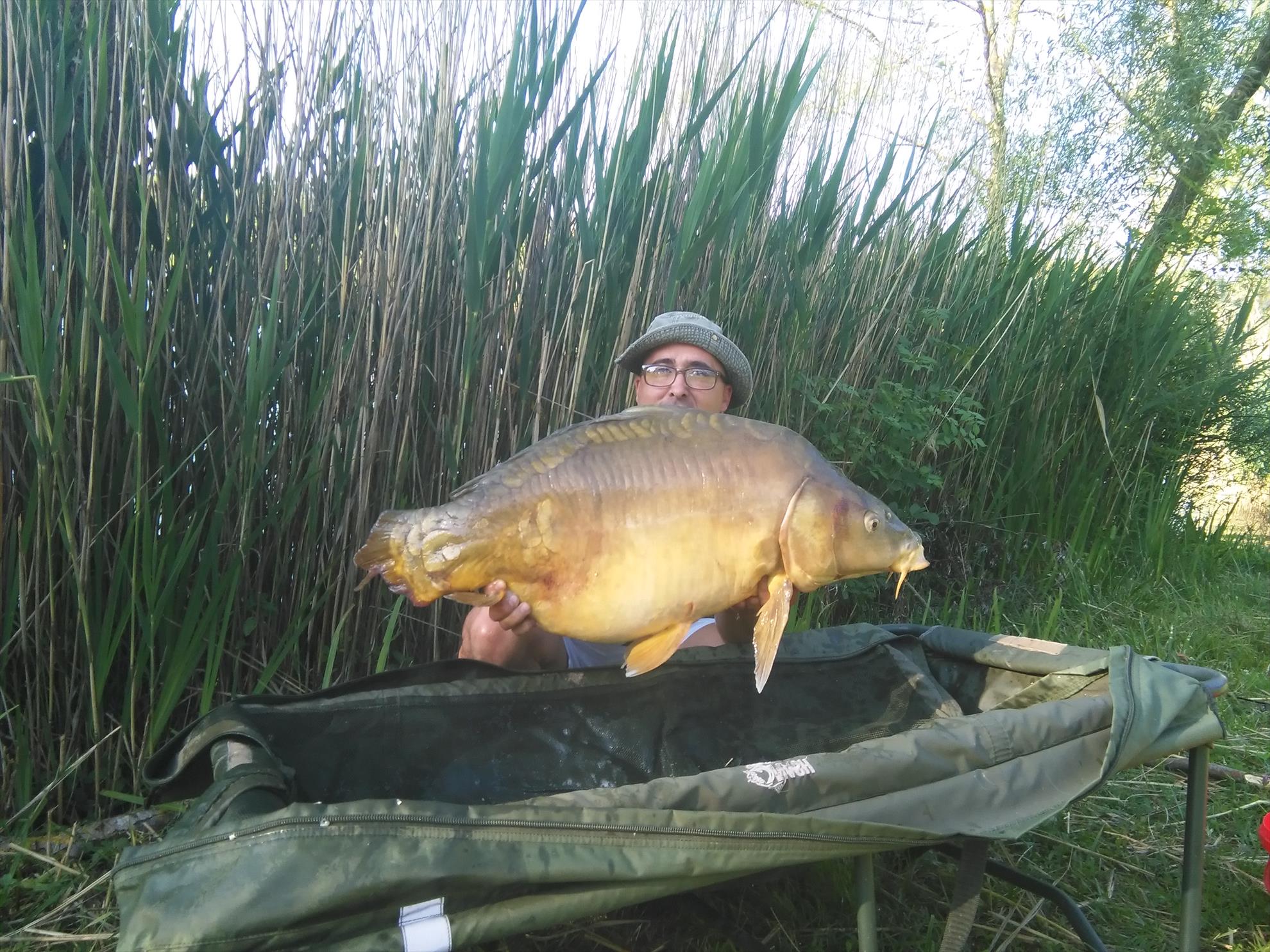 regiune Rhône-Alpes 9 iunie 2016 - img20160609193020.jpg